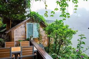 免费吃瓜群小木屋,揭秘网络社交新趋势